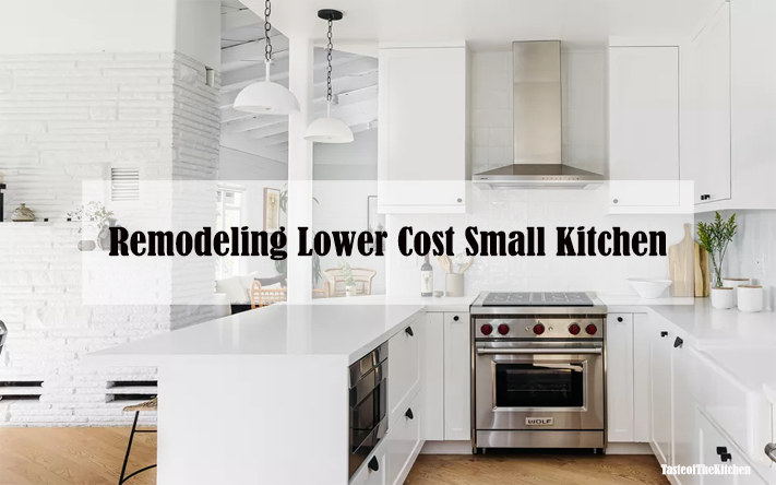 Remodeling Lower Cost Small Kitchen